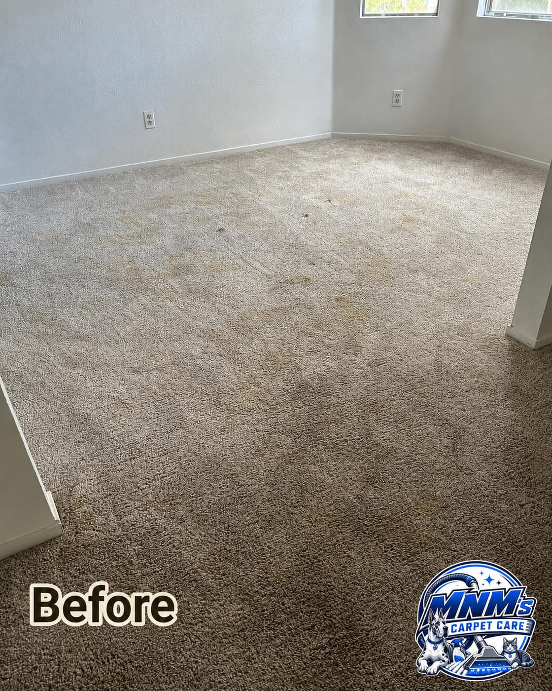 Before cleaning