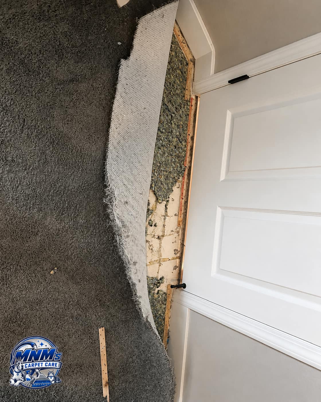 Carpet pulled back showing padding and tack strip during a repair job